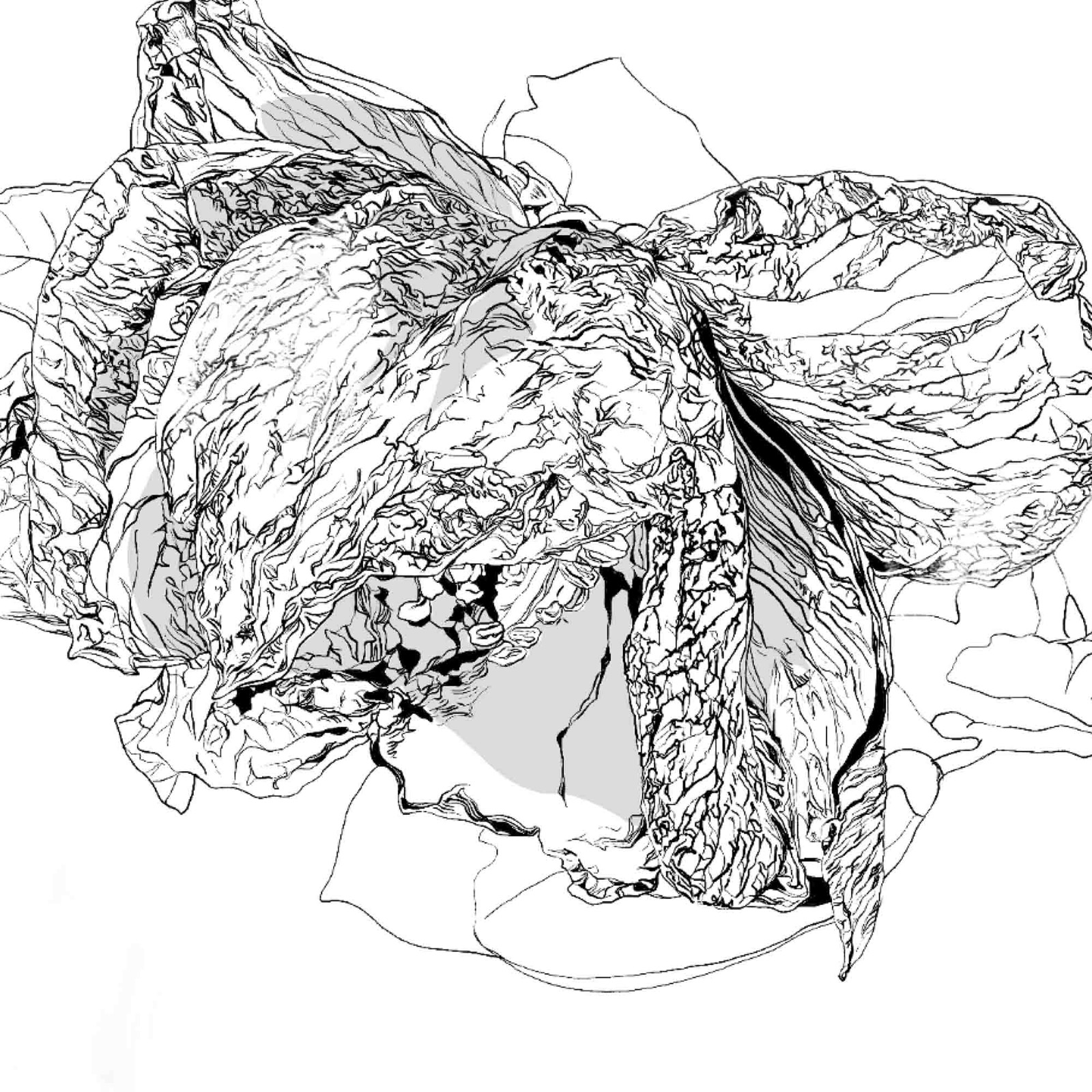 《flower cells -camellia-》