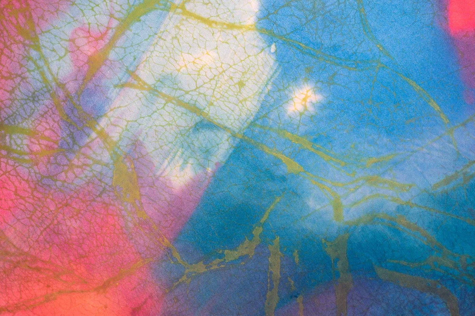 《flower cells  -coral and blue colors-》