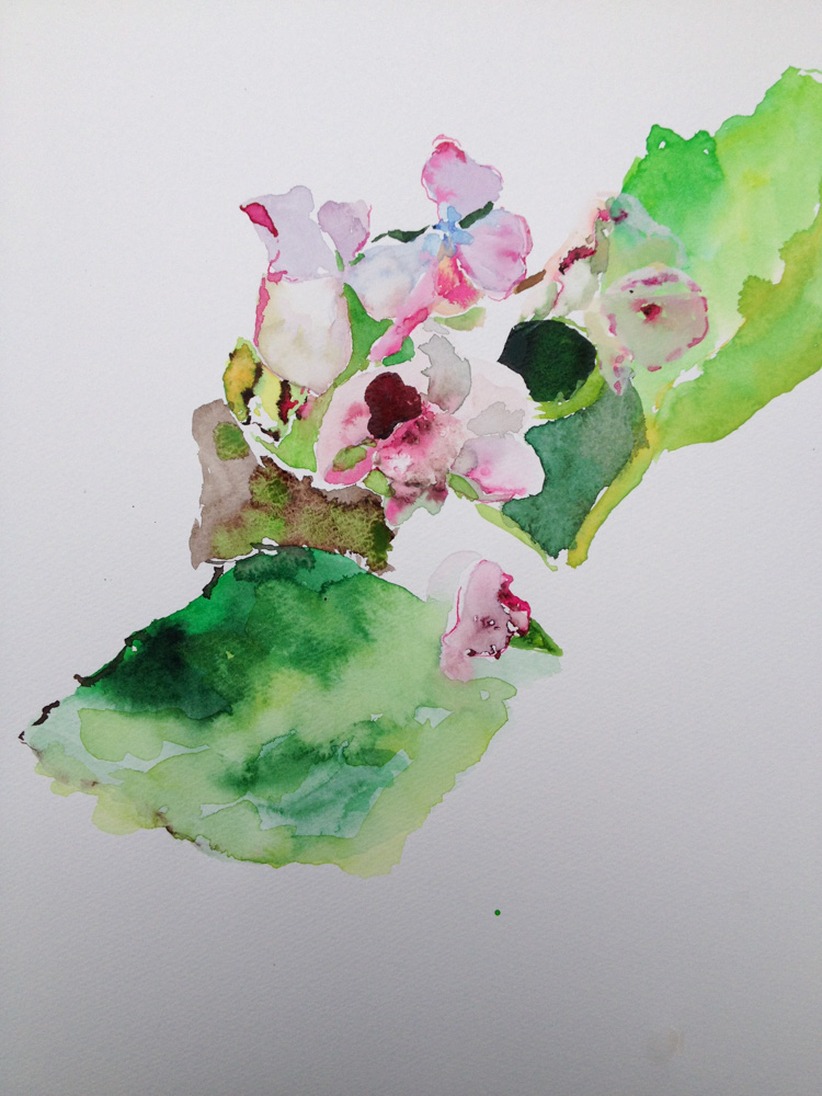 《flower cells  -red hydrangea-》