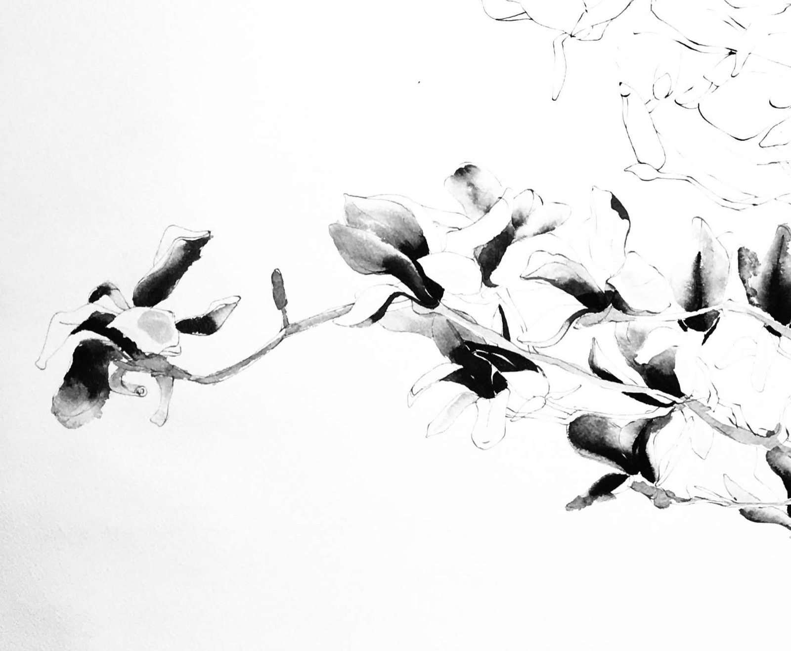 Line Growth order 03 −木蓮−