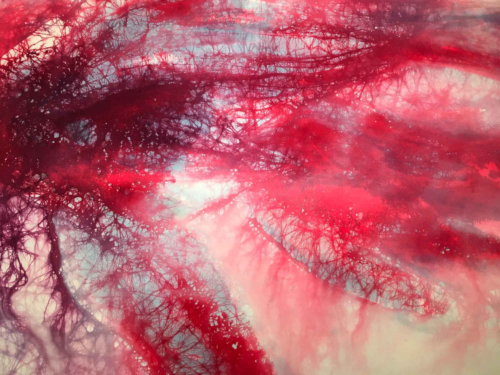 やわらかな瘡蓋 03