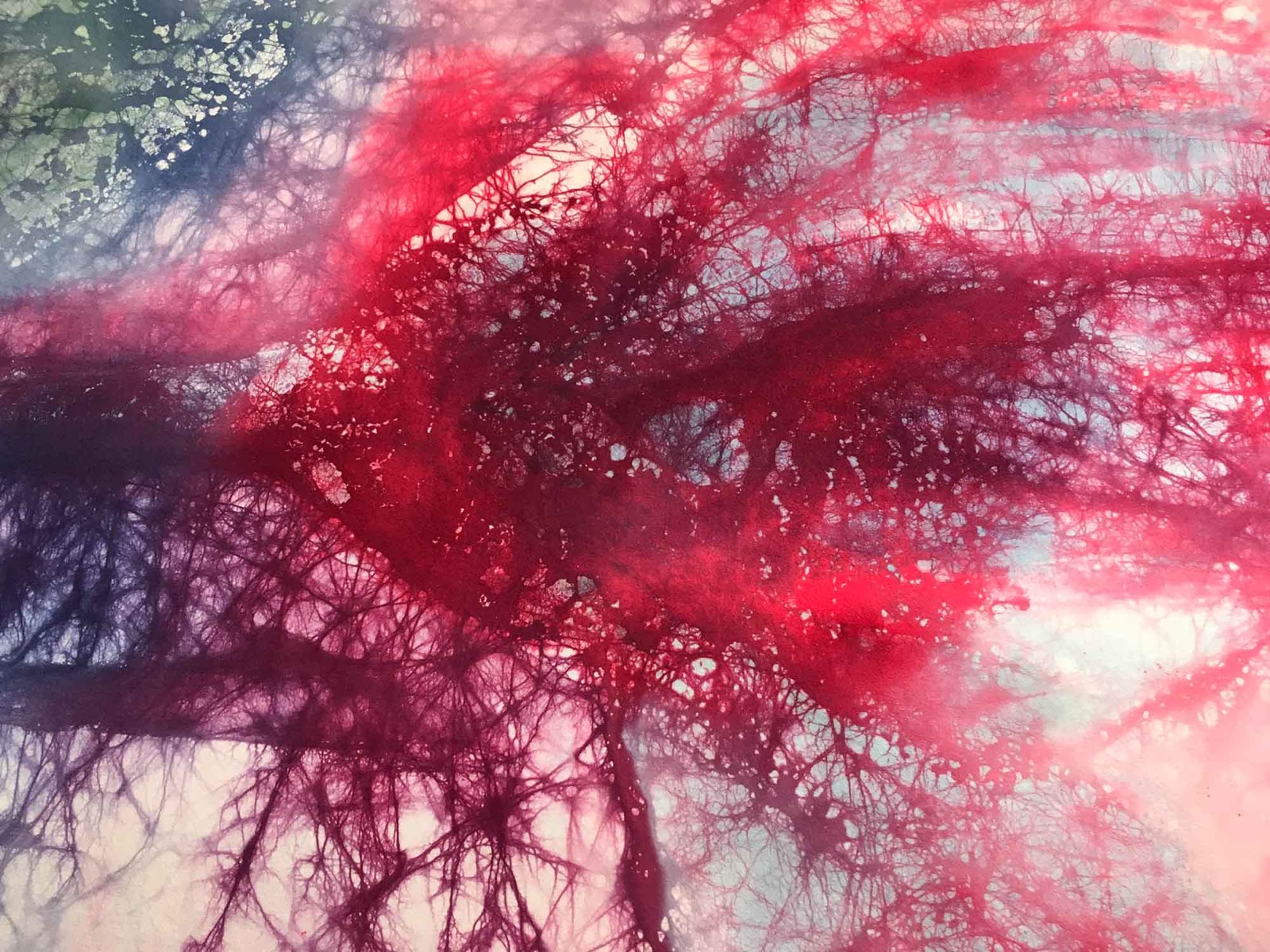 やわらかな瘡蓋 03