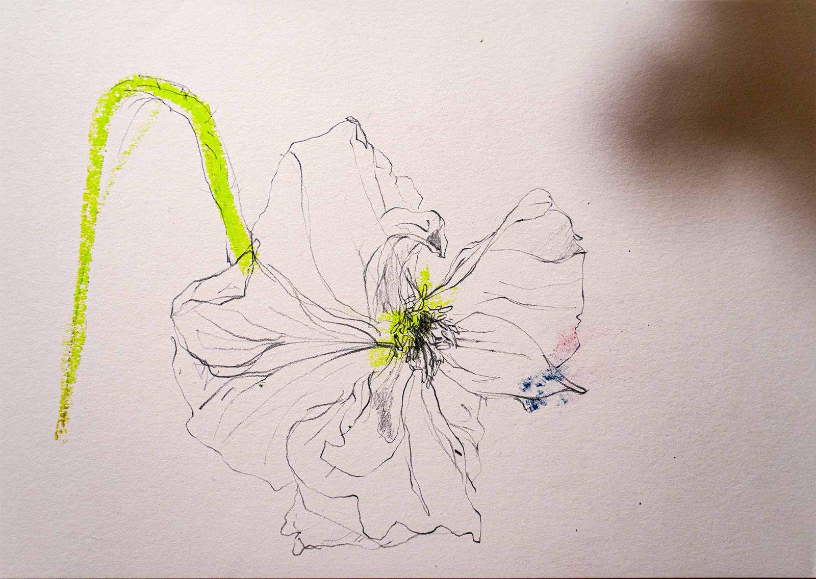 刻憶01  −ポピー−