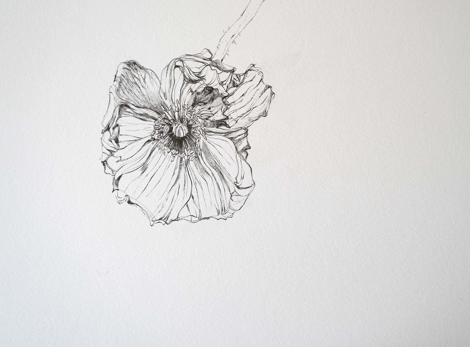 刻憶02  −ポピー−