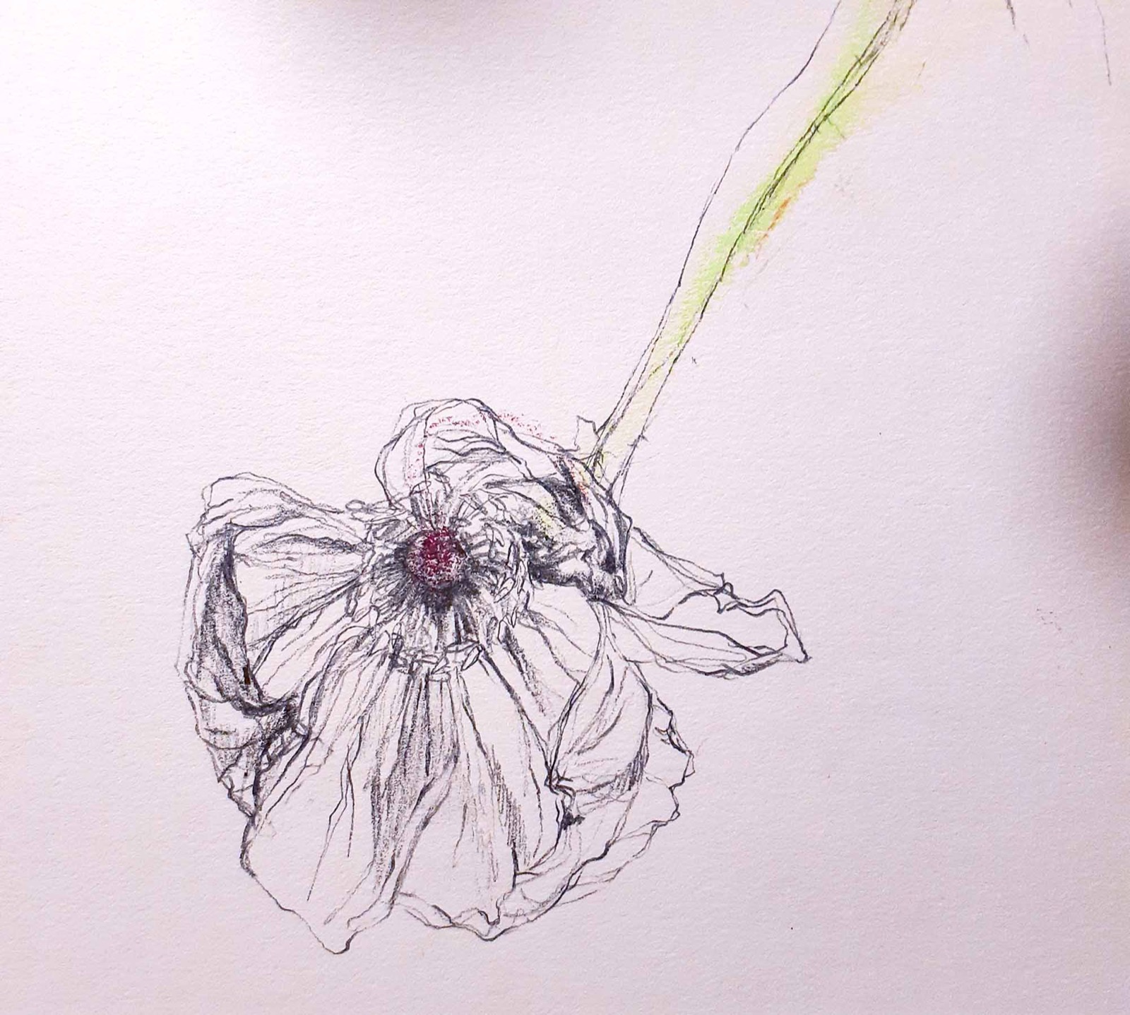 刻憶02  −ポピー−