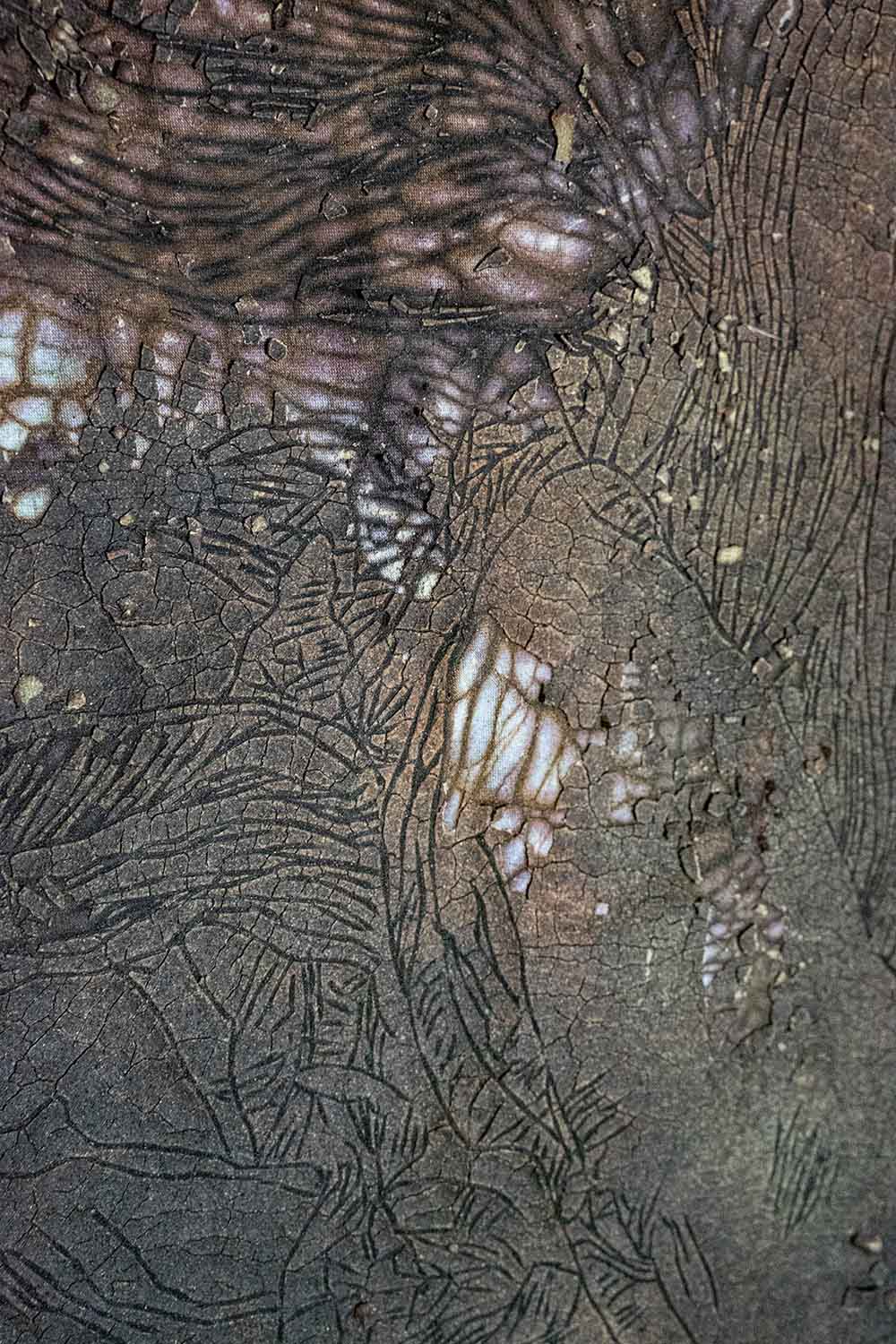 刻憶03　−木蓮−