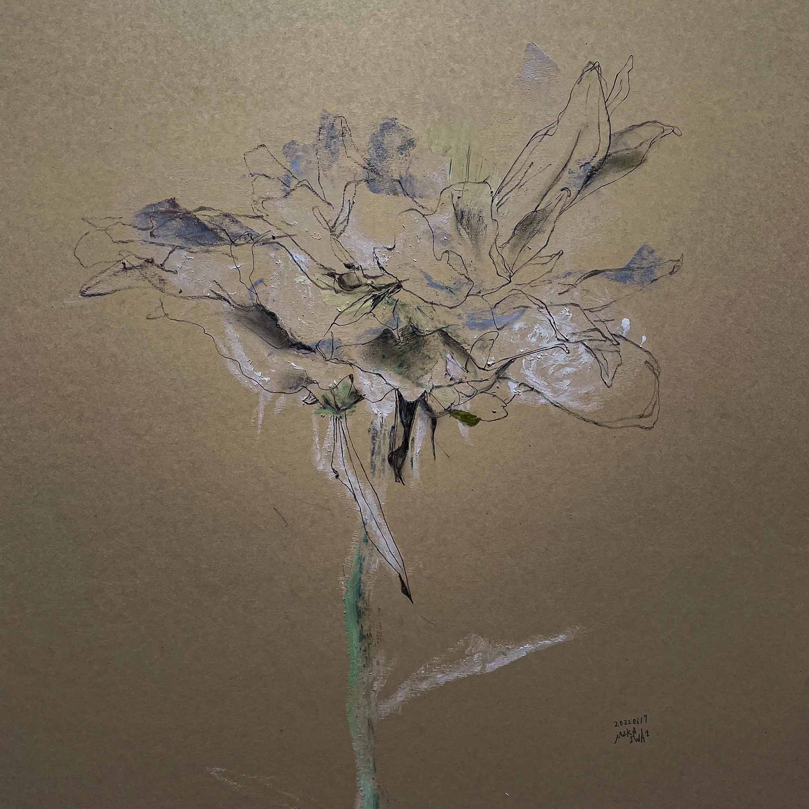 刻憶04 –芍薬−