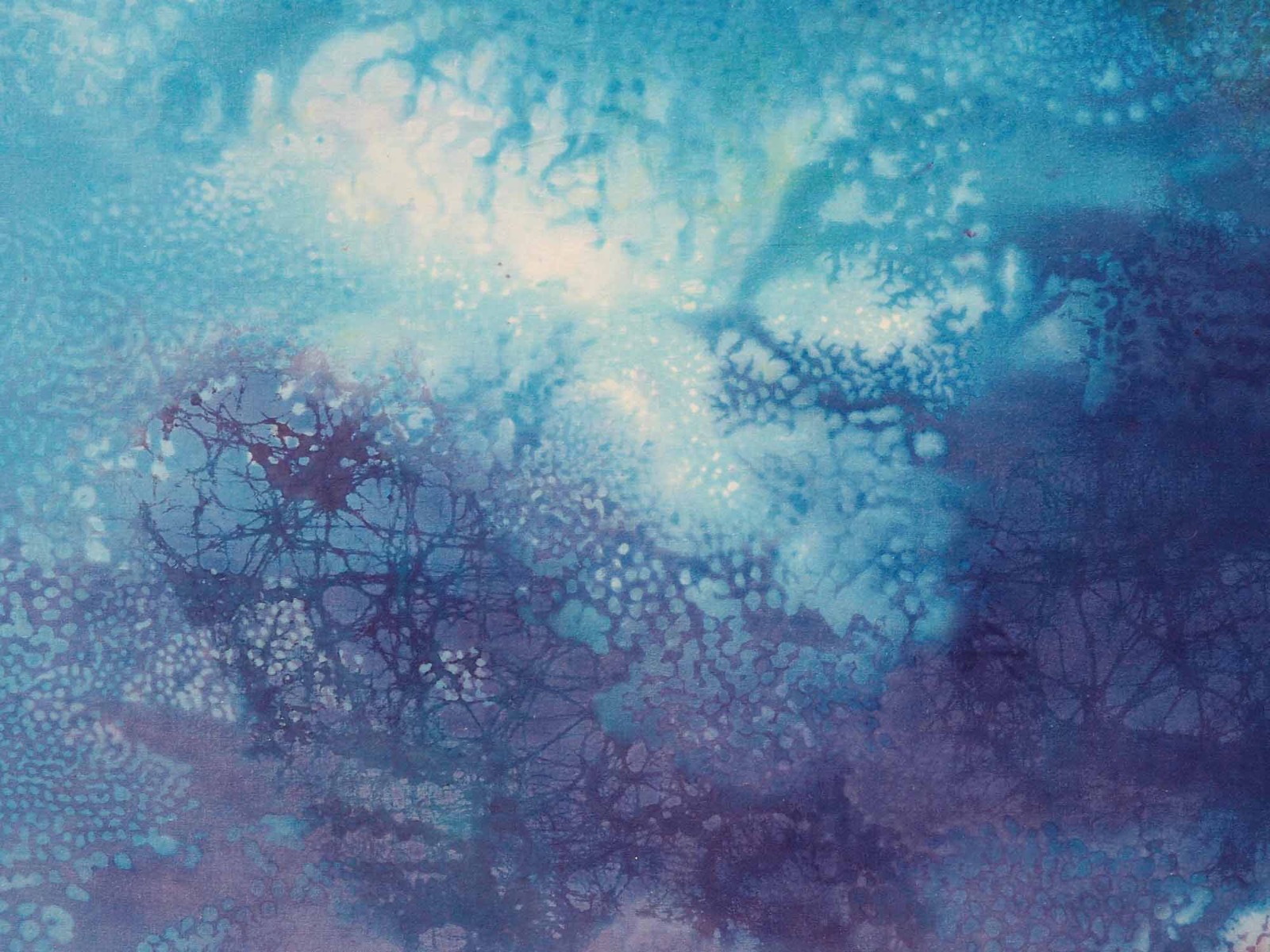 望膜07 あじさい