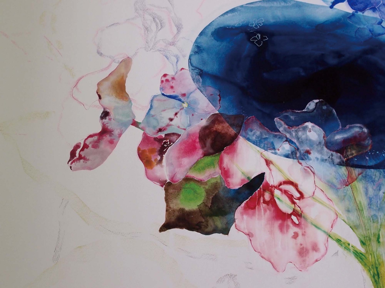 望膜07 あじさい