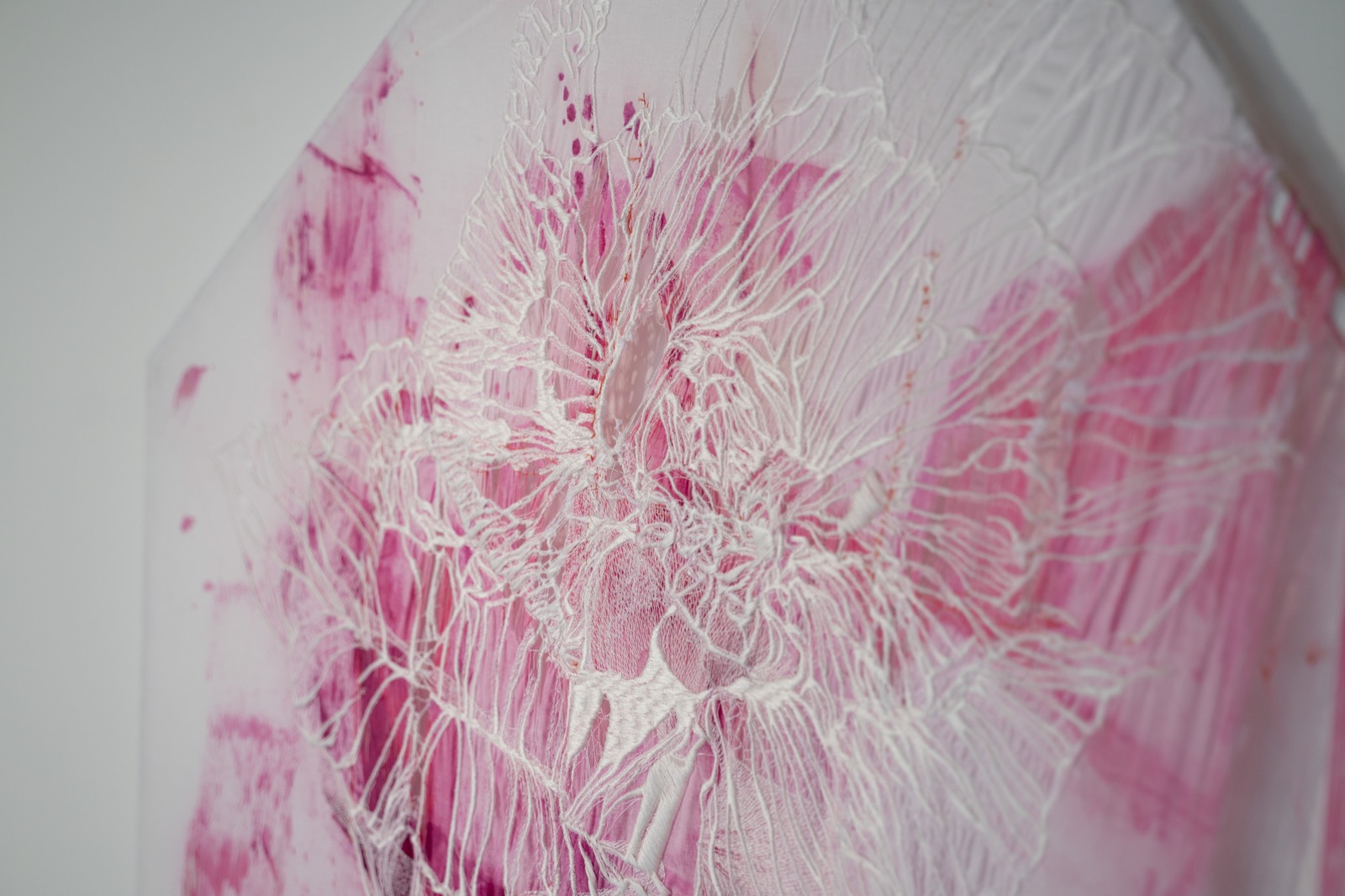 「胞膜のシリーズについて」