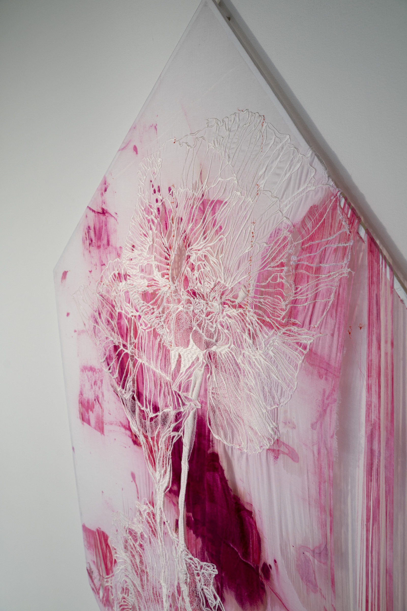 「胞膜のシリーズについて」